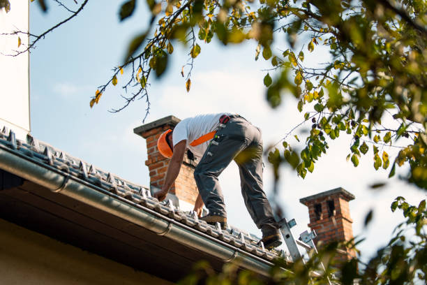 Roof Gutter Cleaning in Rib Mountain, WI