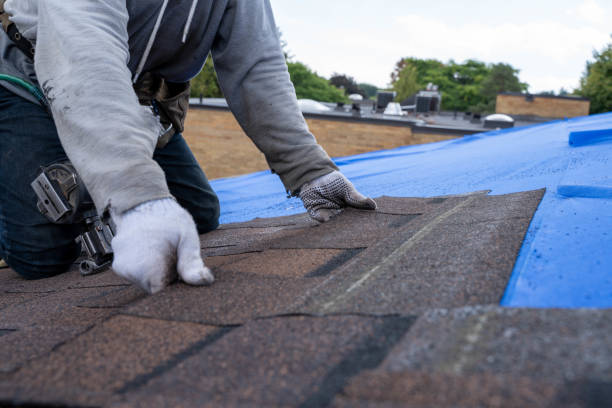 Best Storm Damage Roof Repair  in Rib Mountain, WI