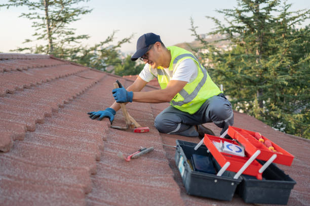 Best Flat Roof Repair Services  in Rib Mountain, WI