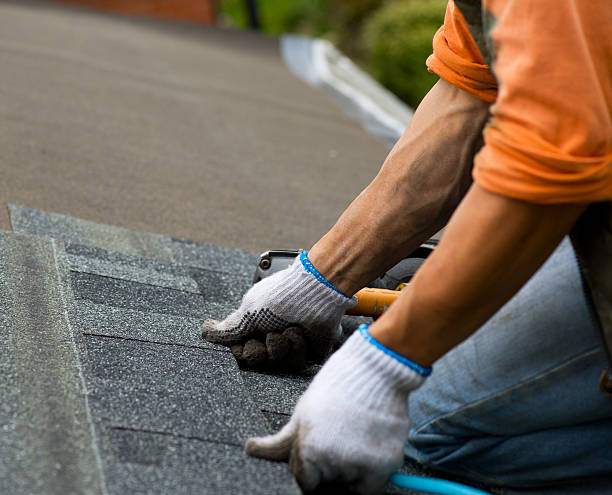 Best Residential Roof Replacement  in Rib Mountain, WI